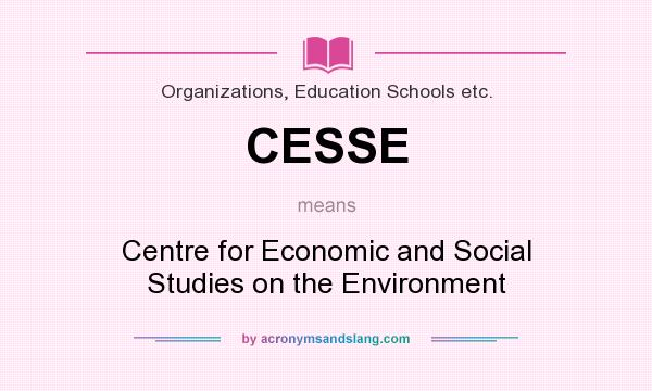What does CESSE mean? It stands for Centre for Economic and Social Studies on the Environment