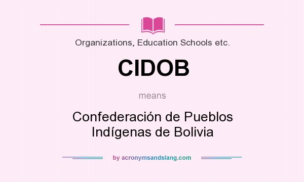 What does CIDOB mean? It stands for Confederación de Pueblos Indígenas de Bolivia