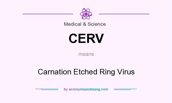 What does CERV mean? It stands for Carnation Etched Ring Virus