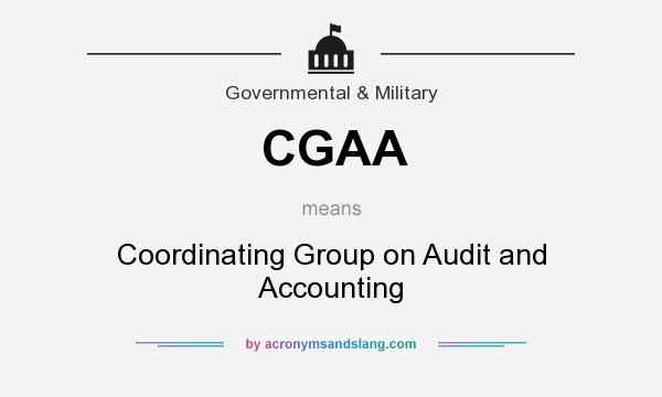 What does CGAA mean? It stands for Coordinating Group on Audit and Accounting