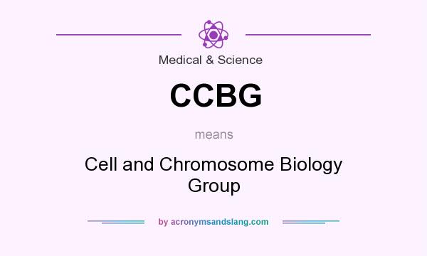 What does CCBG mean? It stands for Cell and Chromosome Biology Group