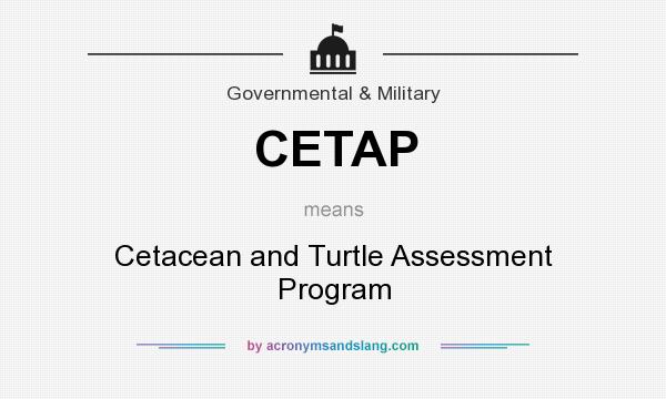 What does CETAP mean? It stands for Cetacean and Turtle Assessment Program