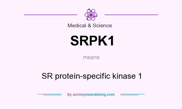 What does SRPK1 mean? It stands for SR protein-specific kinase 1
