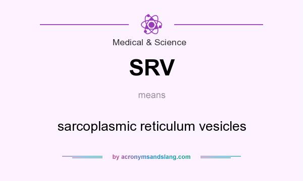 What does SRV mean? It stands for sarcoplasmic reticulum vesicles