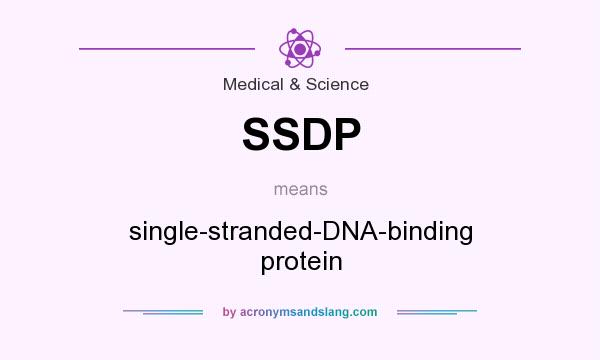 What does SSDP mean? It stands for single-stranded-DNA-binding protein
