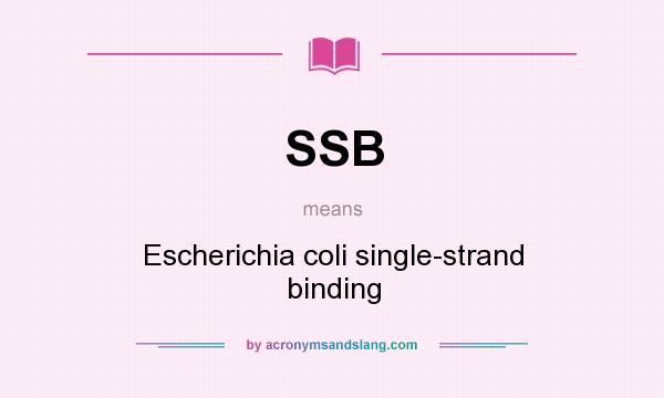 What does SSB mean? It stands for Escherichia coli single-strand binding