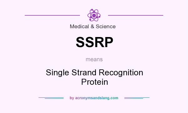 What does SSRP mean? It stands for Single Strand Recognition Protein