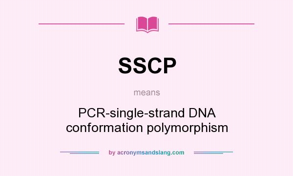What does SSCP mean? It stands for PCR-single-strand DNA conformation polymorphism
