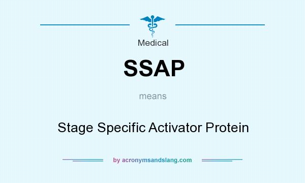 What does SSAP mean? It stands for Stage Specific Activator Protein