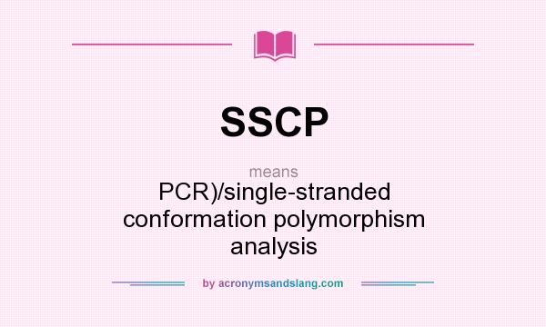 What does SSCP mean? It stands for PCR)/single-stranded conformation polymorphism analysis