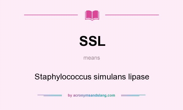 What does SSL mean? It stands for Staphylococcus simulans lipase