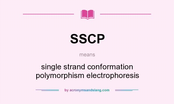 What does SSCP mean? It stands for single strand conformation polymorphism electrophoresis