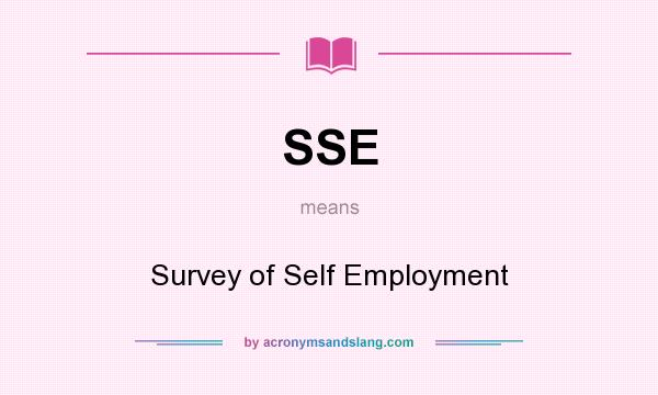 What does SSE mean? It stands for Survey of Self Employment