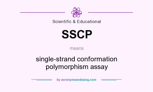 What does SSCP mean? It stands for single-strand conformation polymorphism assay