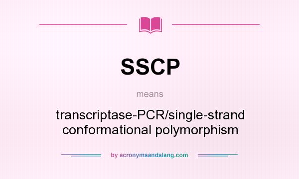 What does SSCP mean? It stands for transcriptase-PCR/single-strand conformational polymorphism