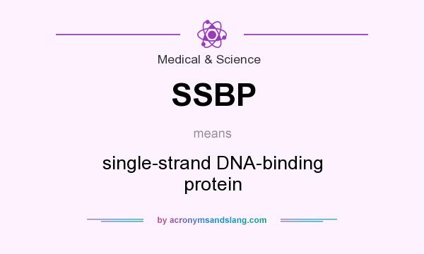 What does SSBP mean? It stands for single-strand DNA-binding protein