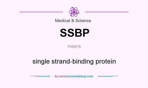 What does SSBP mean? It stands for single strand-binding protein