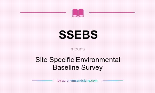 What does SSEBS mean? It stands for Site Specific Environmental Baseline Survey