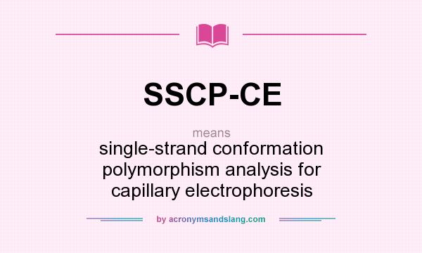 What does SSCP-CE mean? It stands for single-strand conformation polymorphism analysis for capillary electrophoresis