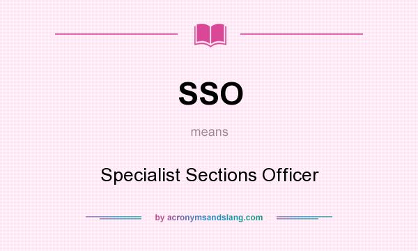 What does SSO mean? It stands for Specialist Sections Officer