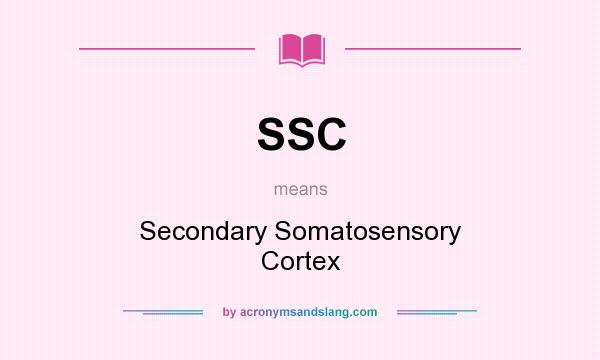 What does SSC mean? It stands for Secondary Somatosensory Cortex
