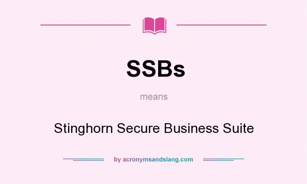 What does SSBs mean? It stands for Stinghorn Secure Business Suite