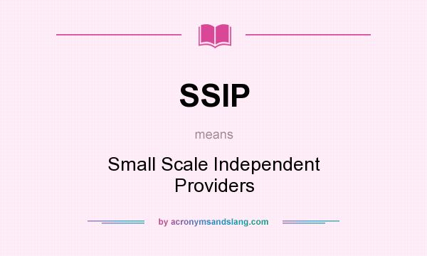 What does SSIP mean? It stands for Small Scale Independent Providers