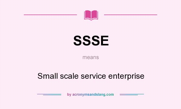 What does SSSE mean? It stands for Small scale service enterprise