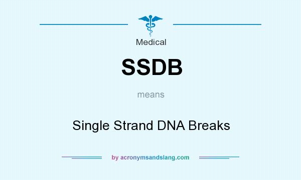 What does SSDB mean? It stands for Single Strand DNA Breaks