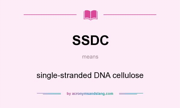 What does SSDC mean? It stands for single-stranded DNA cellulose