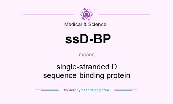 What does ssD-BP mean? It stands for single-stranded D sequence-binding protein