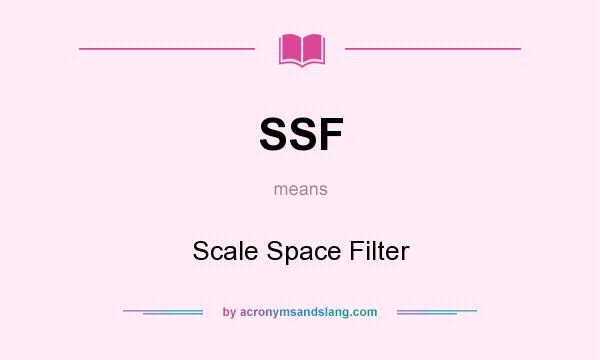 What does SSF mean? It stands for Scale Space Filter