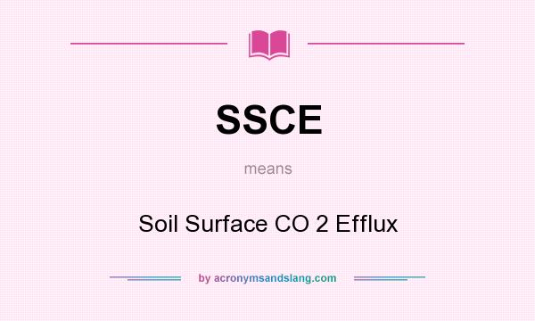 What does SSCE mean? It stands for Soil Surface CO 2 Efflux