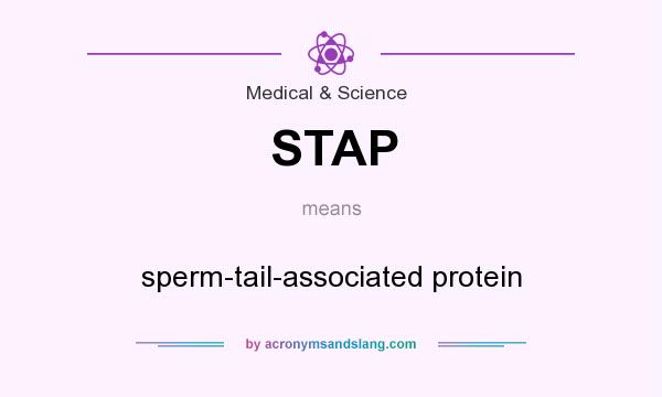 What does STAP mean? It stands for sperm-tail-associated protein