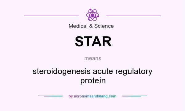 What does STAR mean? It stands for steroidogenesis acute regulatory protein
