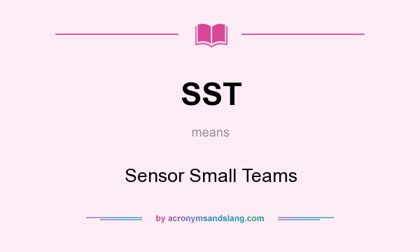 What does SST mean? It stands for Sensor Small Teams