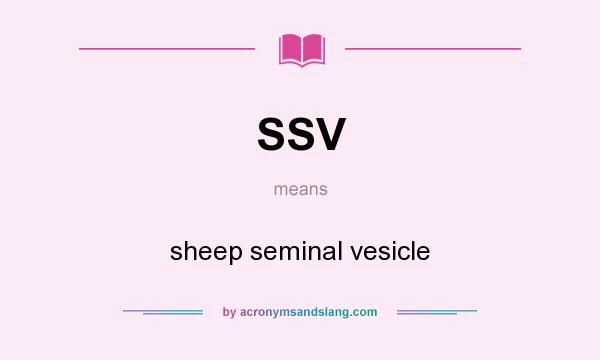 What does SSV mean? It stands for sheep seminal vesicle