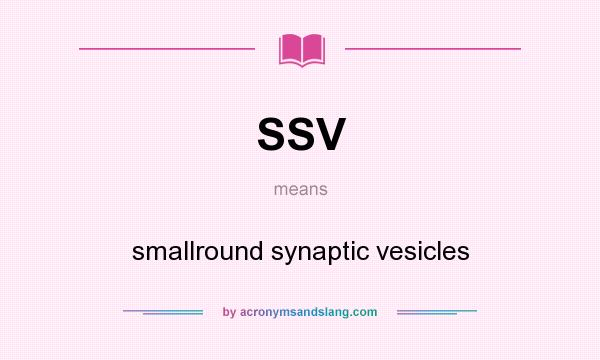 What does SSV mean? It stands for smallround synaptic vesicles