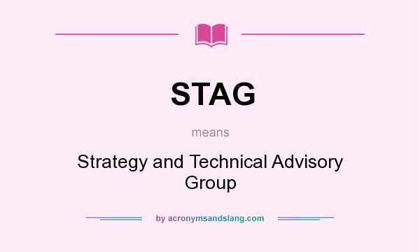 What does STAG mean? It stands for Strategy and Technical Advisory Group