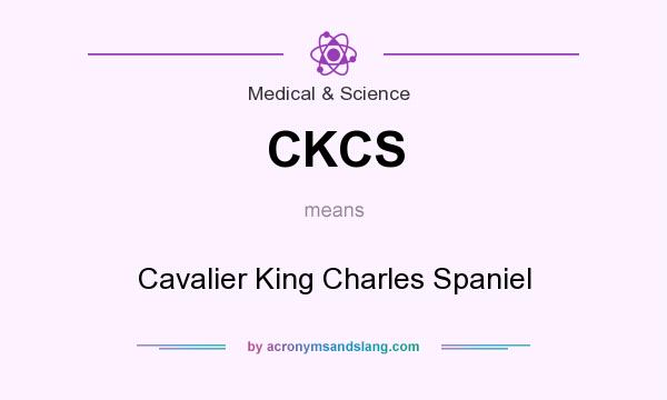 What does CKCS mean? It stands for Cavalier King Charles Spaniel