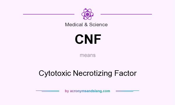 What does CNF mean? It stands for Cytotoxic Necrotizing Factor