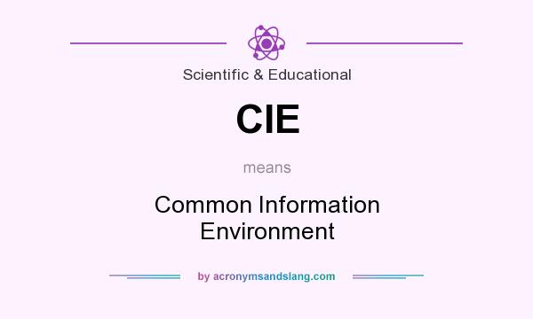 What does CIE mean? It stands for Common Information Environment