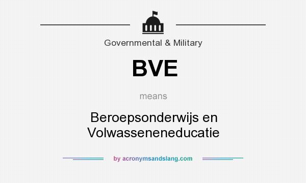 What does BVE mean? It stands for Beroepsonderwijs en Volwasseneneducatie