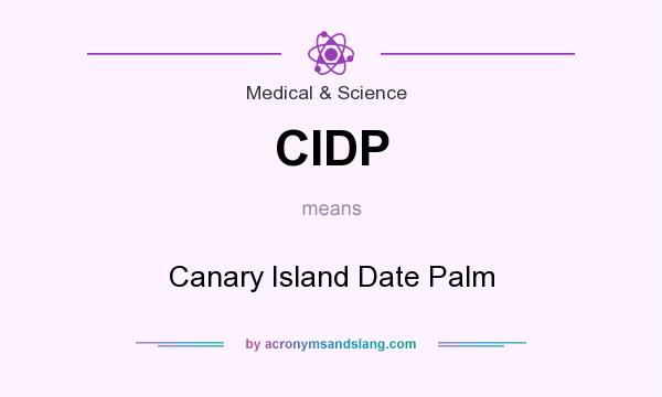 What does CIDP mean? It stands for Canary Island Date Palm