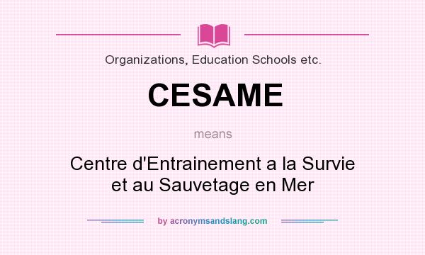 What does CESAME mean? It stands for Centre d`Entrainement a la Survie et au Sauvetage en Mer
