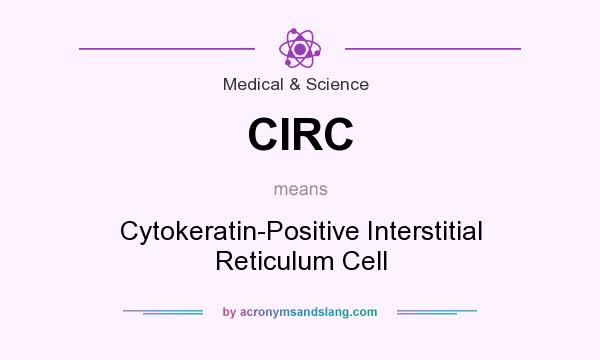 What does CIRC mean? It stands for Cytokeratin-Positive Interstitial Reticulum Cell