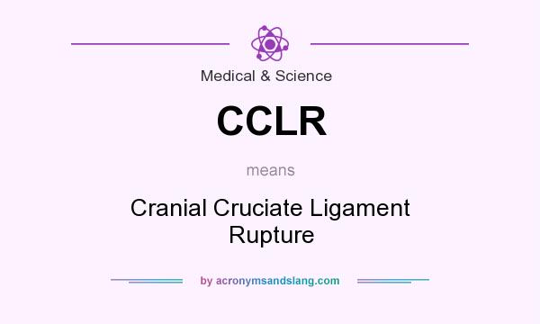 What does CCLR mean? It stands for Cranial Cruciate Ligament Rupture