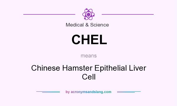 What does CHEL mean? It stands for Chinese Hamster Epithelial Liver Cell