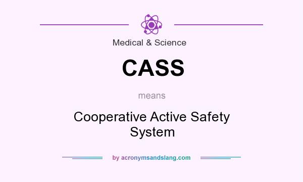 What does CASS mean? It stands for Cooperative Active Safety System