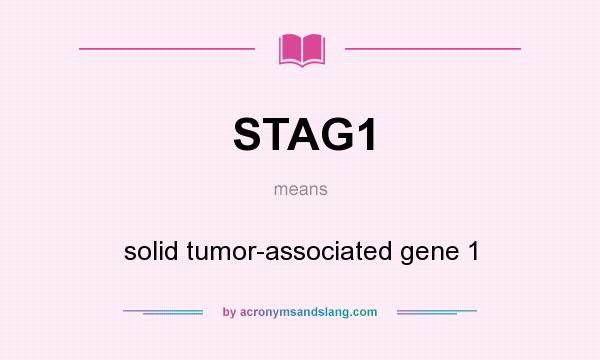 What does STAG1 mean? It stands for solid tumor-associated gene 1